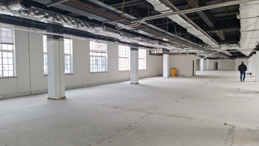 To Let commercial Property for Rent in Newlands Western Cape